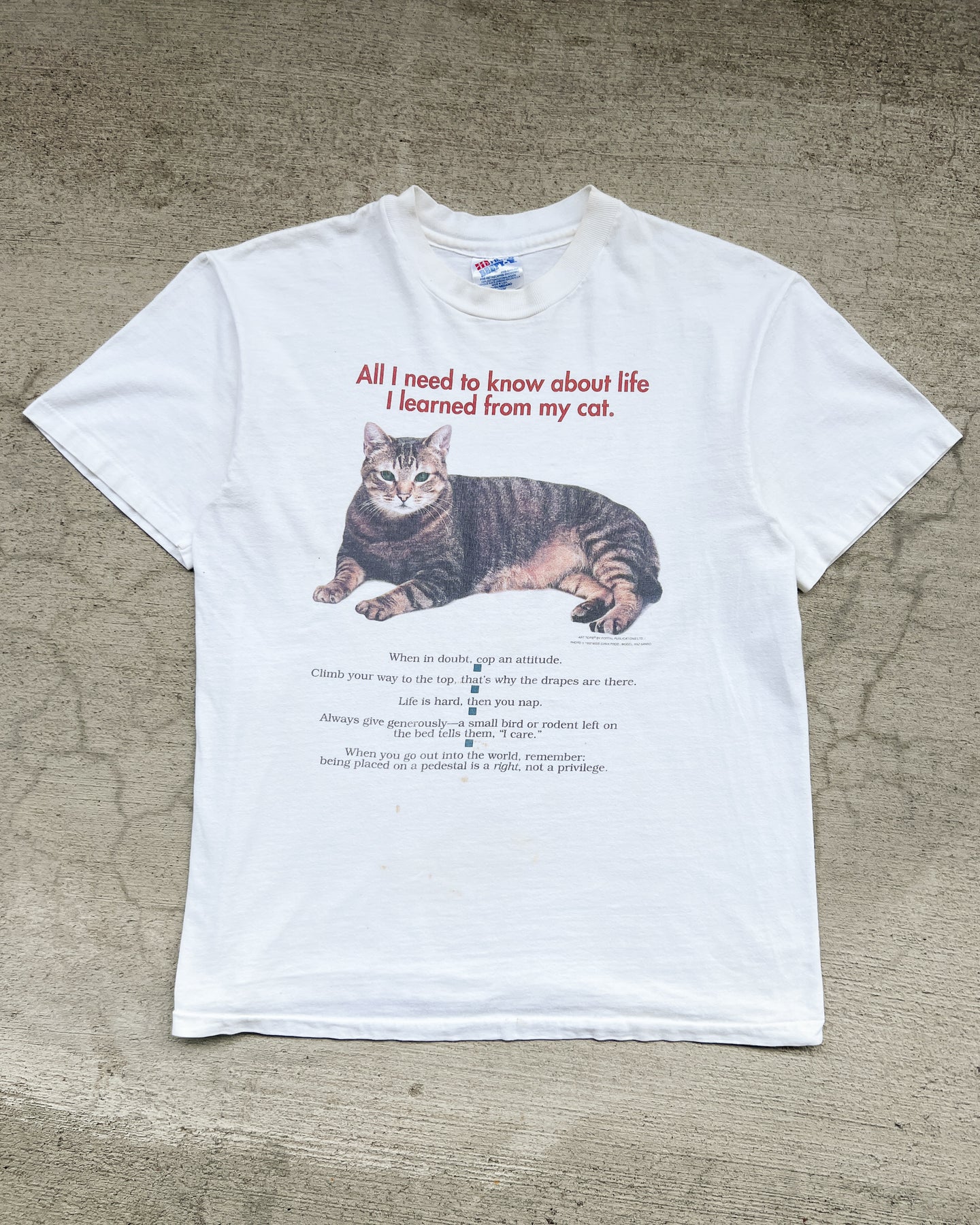 1990s I Learned from My Cat Single Stitch Beefy Tee - Size Medium