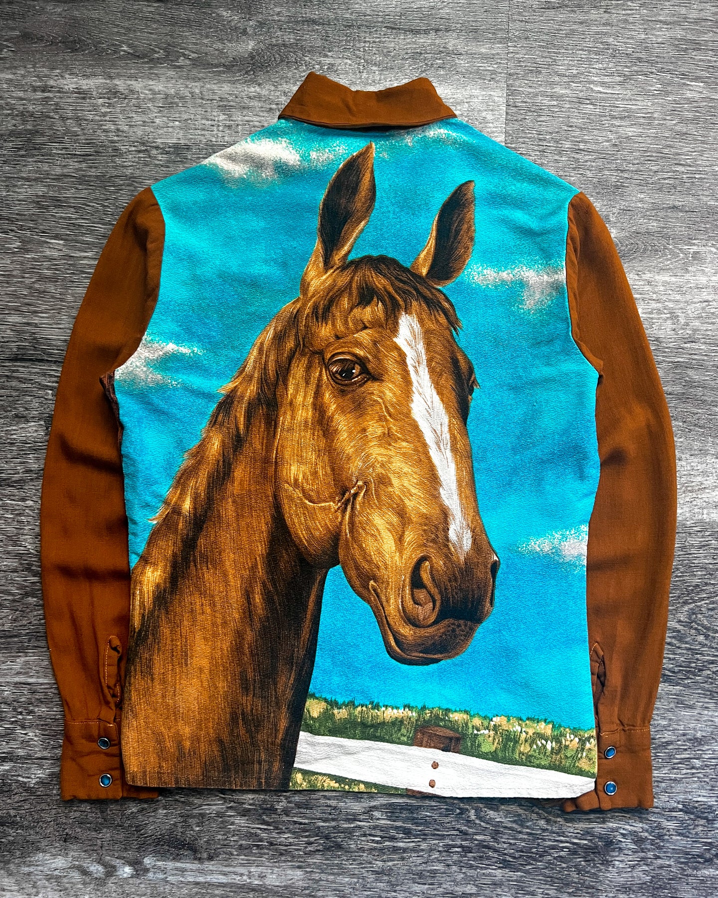 1970s Handmade Horse Portrait Western Button Down - Size Medium